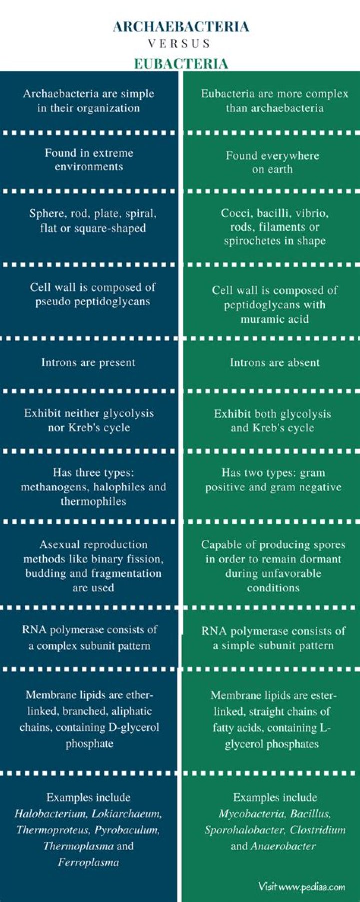 Difference between archaebacteria and eubacteria