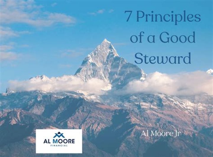 Is rayya a good steward