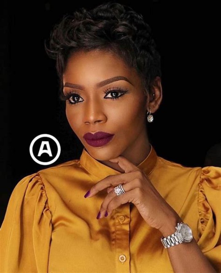 Tolu Odukoya-Ijogun’s biography, net worth, fact, career, awards and life story