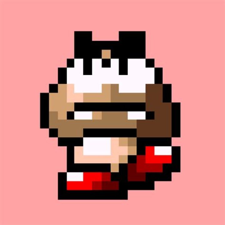 What does goomba mean