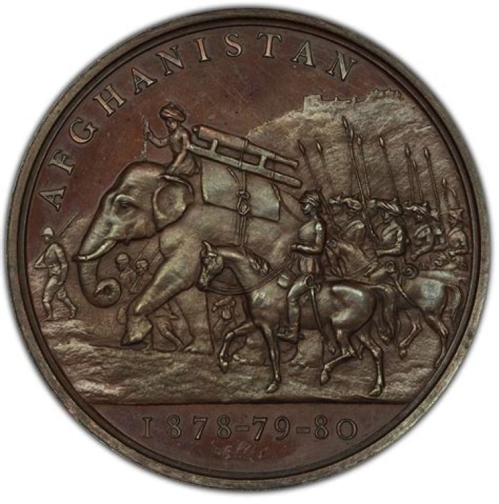 What does the rosette on the afghanistan medal mean