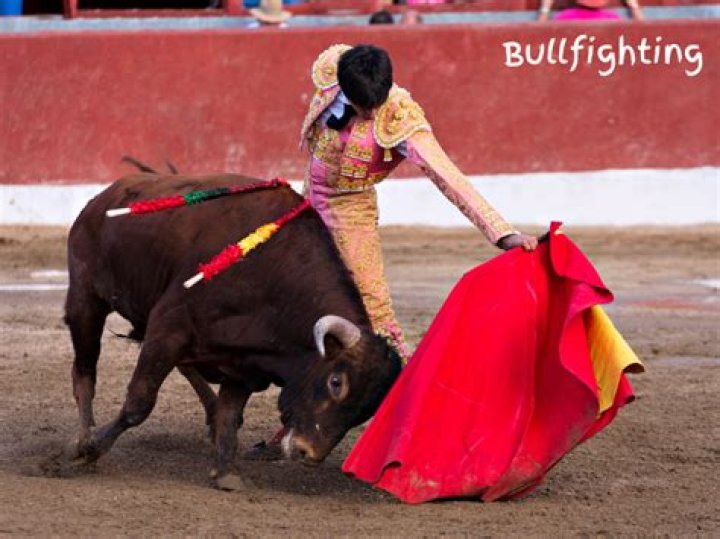What is a capote in bullfighting